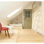 Farm stay Kozy I Roze *