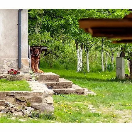 Kozy I Roze Farm stay