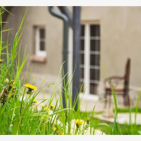 Kozy I Roze 팜스테이