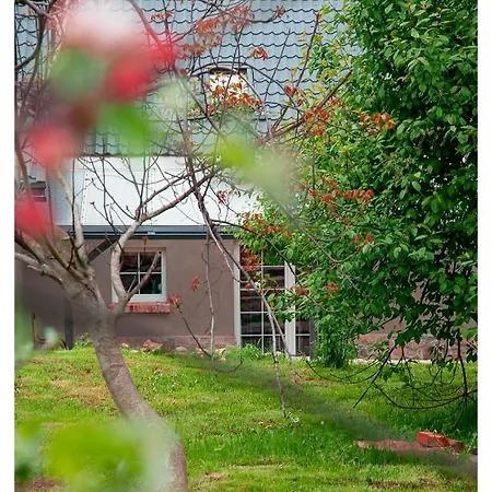 Kozy I Róże * Oldrzychowice Klodzkie