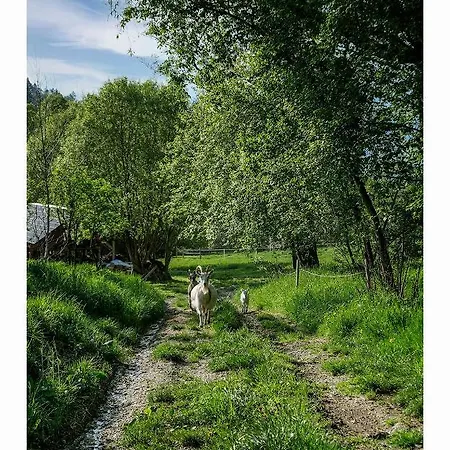 Kozy I Róże Gospodarstwo agroturystyczne