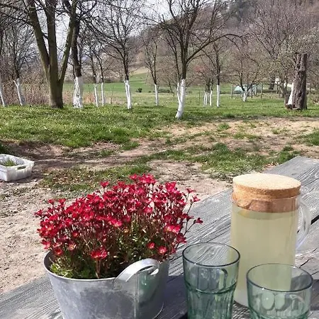 Alloggio per agriturismo Kozy I Roze