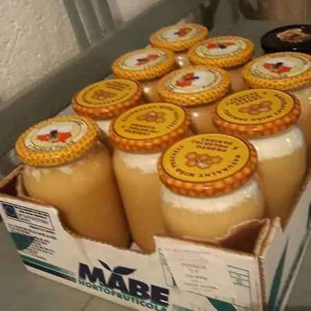 Kozy I Roze * Oldrzychowice Klodzkie