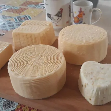 팜스테이 Kozy I Roze