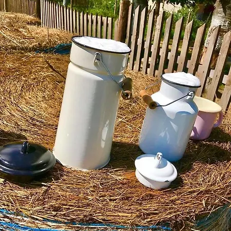 Kozy I Roze * Oldrzychowice Klodzkie