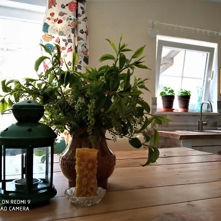 Kozy I Roze Farm stay Oldrzychowice Klodzkie