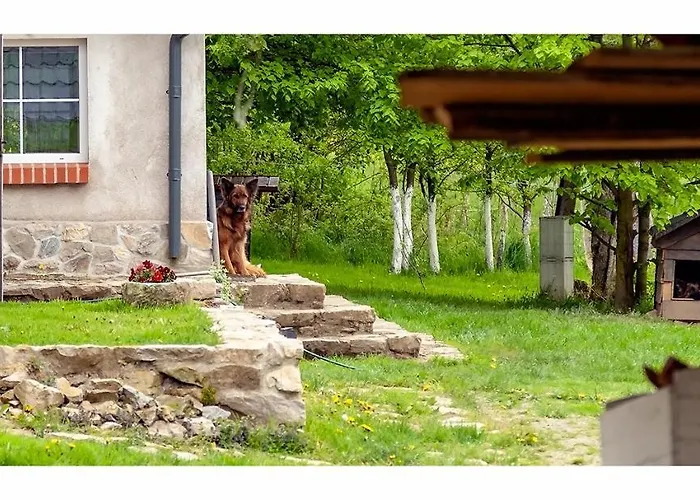 Kozy I Roze Farm stay