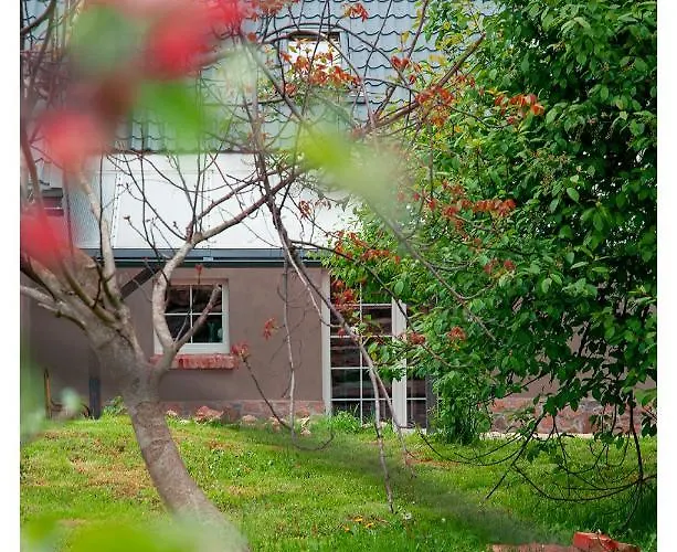 Kozy I Roze * Oldrzychowice Klodzkie