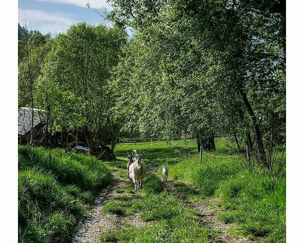 Kozy I Roze Vakantieboerderij