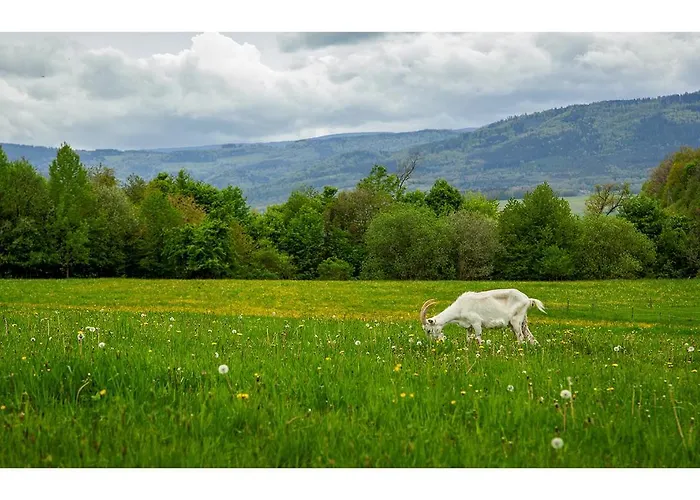 Farm stay Kozy I Roze *