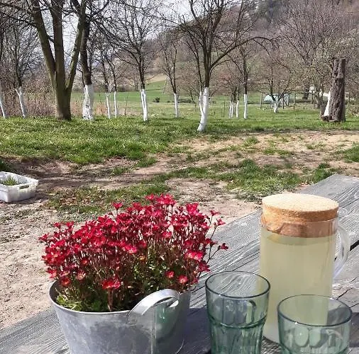 Farm stay Kozy I Roze