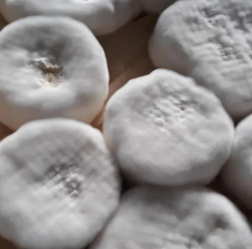 Kozy I Roze Farm stay *