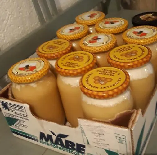 Kozy I Roze * Oldrzychowice Klodzkie