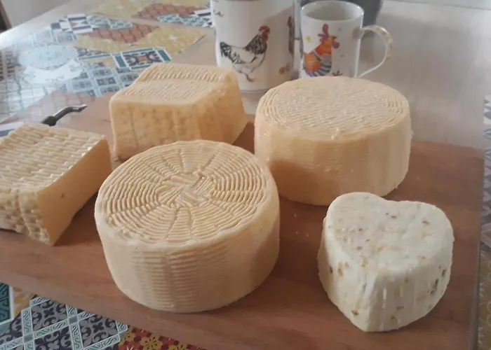 Vakantieboerderij Kozy I Roze