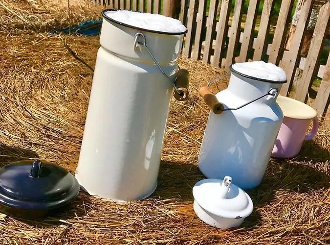 Kozy I Roze * Oldrzychowice Klodzkie